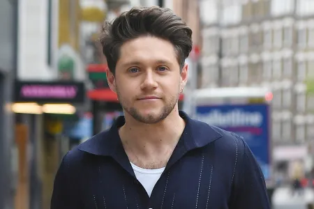 Niall Horan Reacts to Harry Styles’ Remark on One Direction Reunion